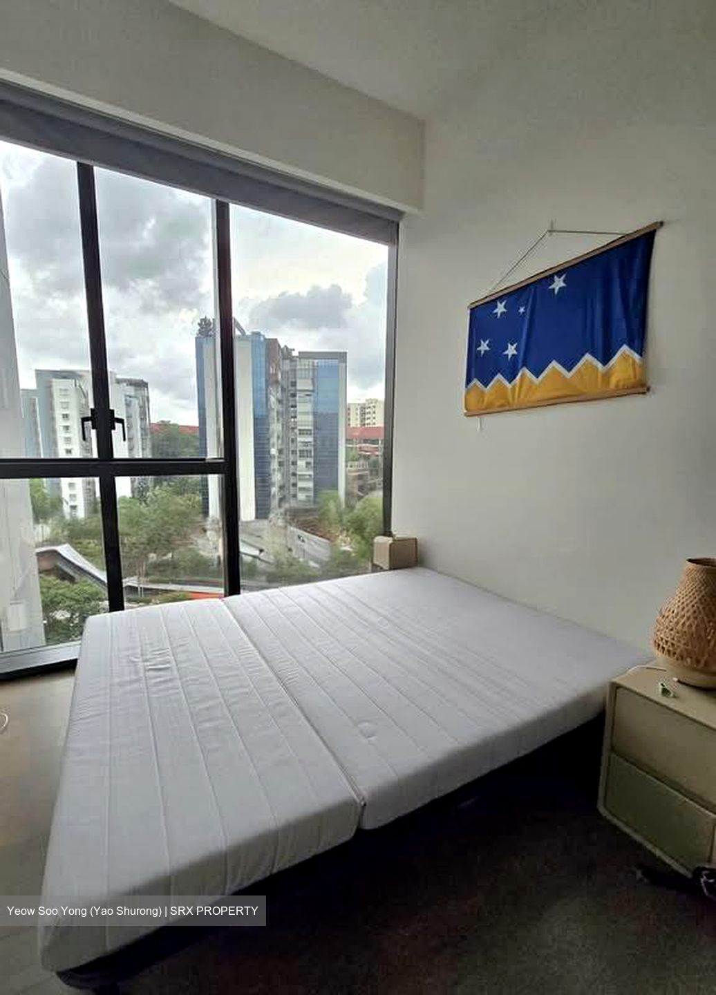 Leedon Green (D10), Condominium #558449971